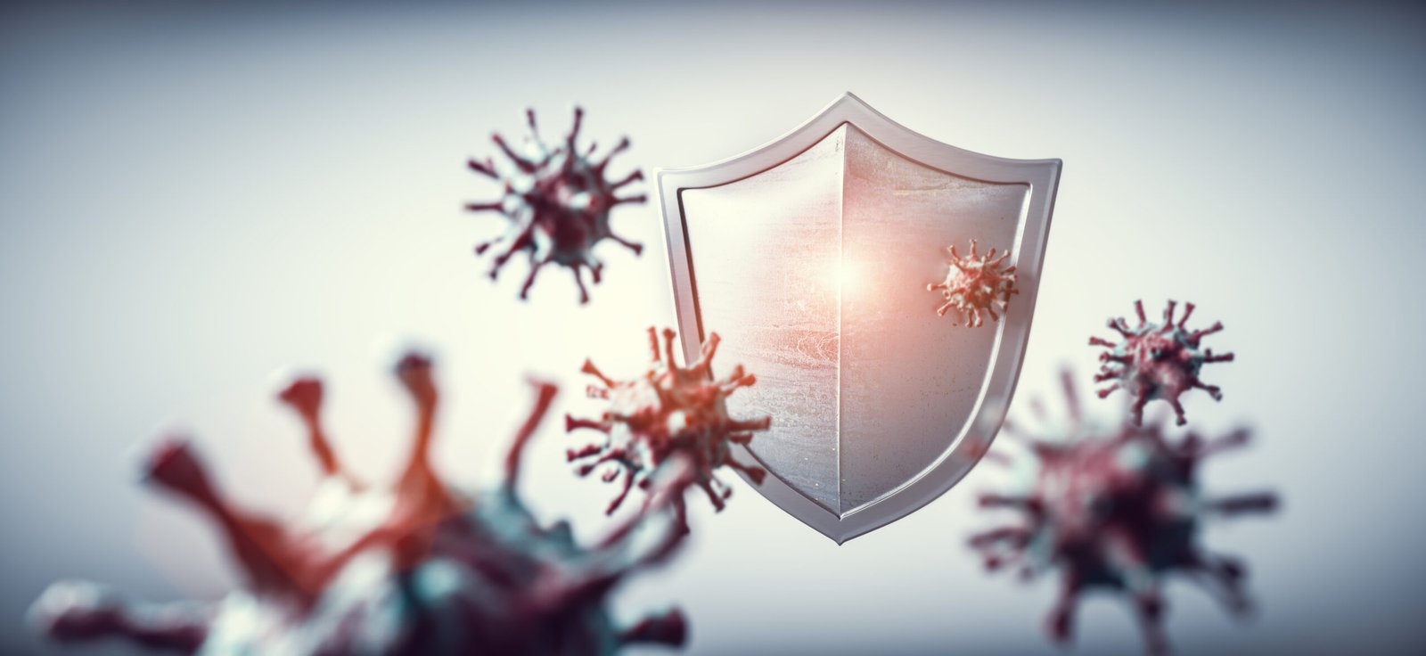 Immunoregulatory Activity