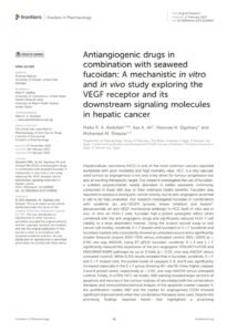 Antiangiogenic drugs in combination with seaweed fucoidan: A mechanistic in vitro and in vivo study exploring the VEGF receptor and its downstream signaling molecules in hepatic cancer