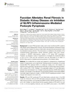 Fucoidan Alleviates Renal Fibrosis in Diabetic Kidney Disease via Inhibition of NLRP3 Inflammasome-Mediated Podocyte Pyroptosis