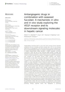 Antiangiogenic drugs in combination with seaweed fucoidan: A mechanistic in vitro and in vivo study