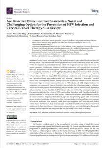 Are Bioactive Molecules from Seaweeds a Novel and Challenging Option for the Prevention of HPV Infection?